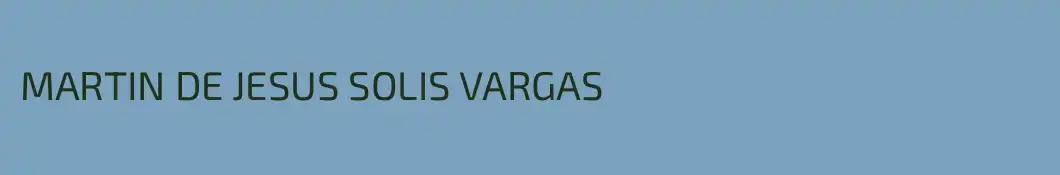 MARTIN DE JESUS SOLIS VARGAS